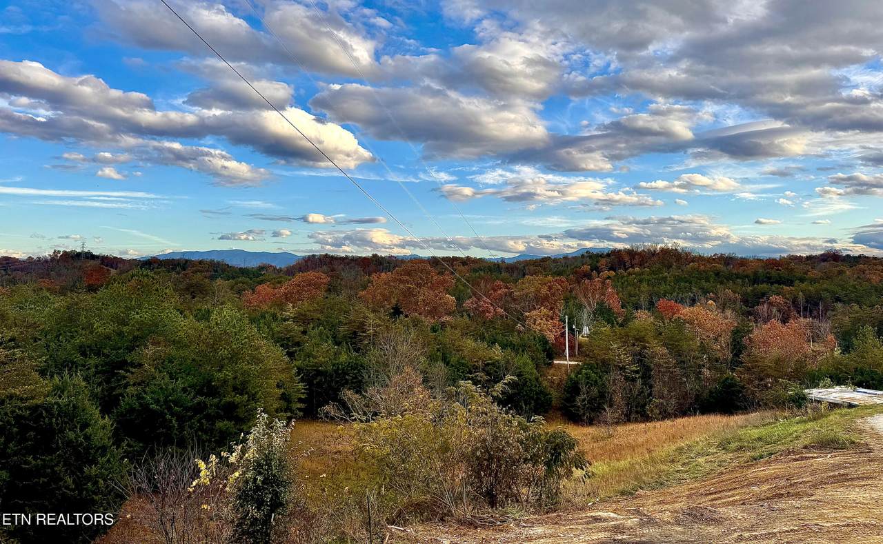 841 Guffy Hollow Rd - Photo 1