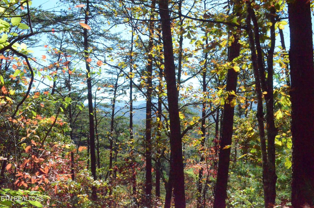 Lot 28R Mountain Retreat Rd - Photo 1