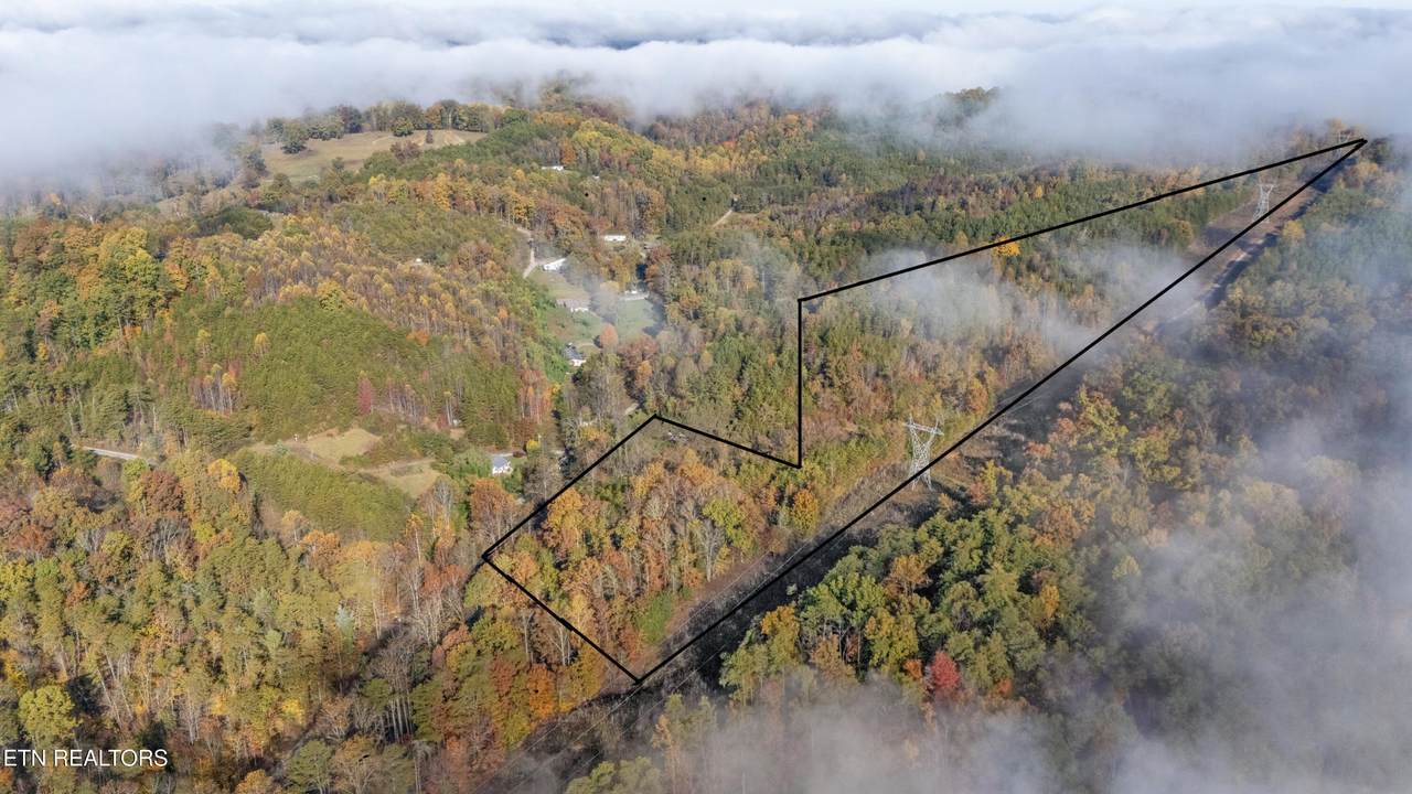 2110 Bob Irwin Rd - Photo 1