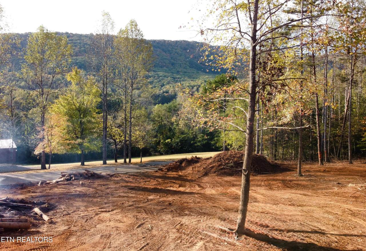 Lot 4 Peachie Way - Photo 1