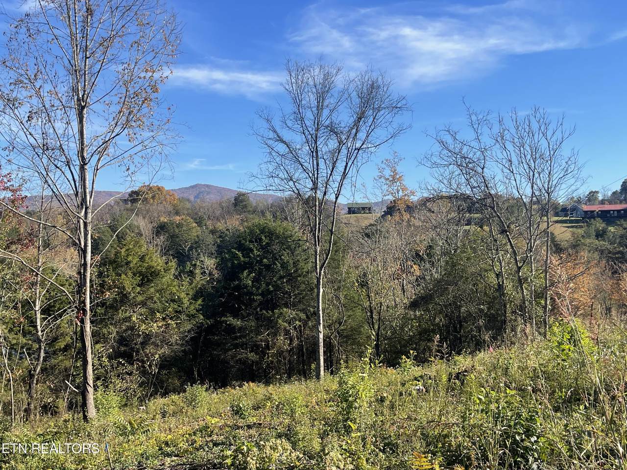  Mountain Ridge - Photo 1