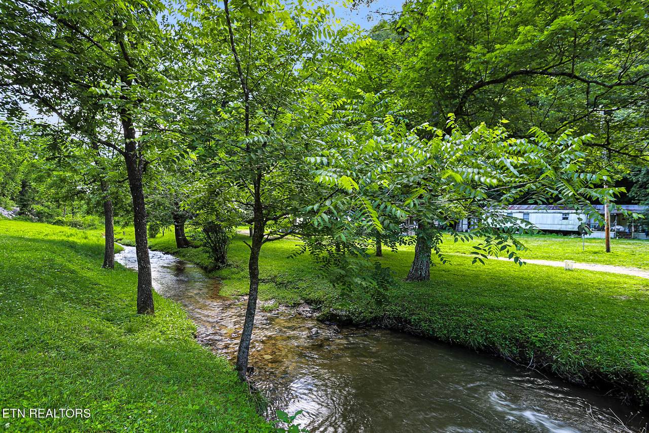 553 Caney Creek Rd - Photo 1