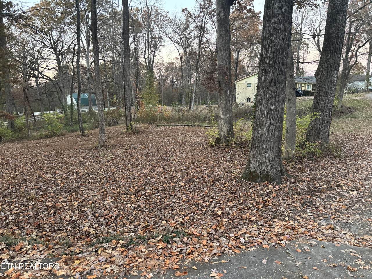 205 Ridge Rd - Photo 1