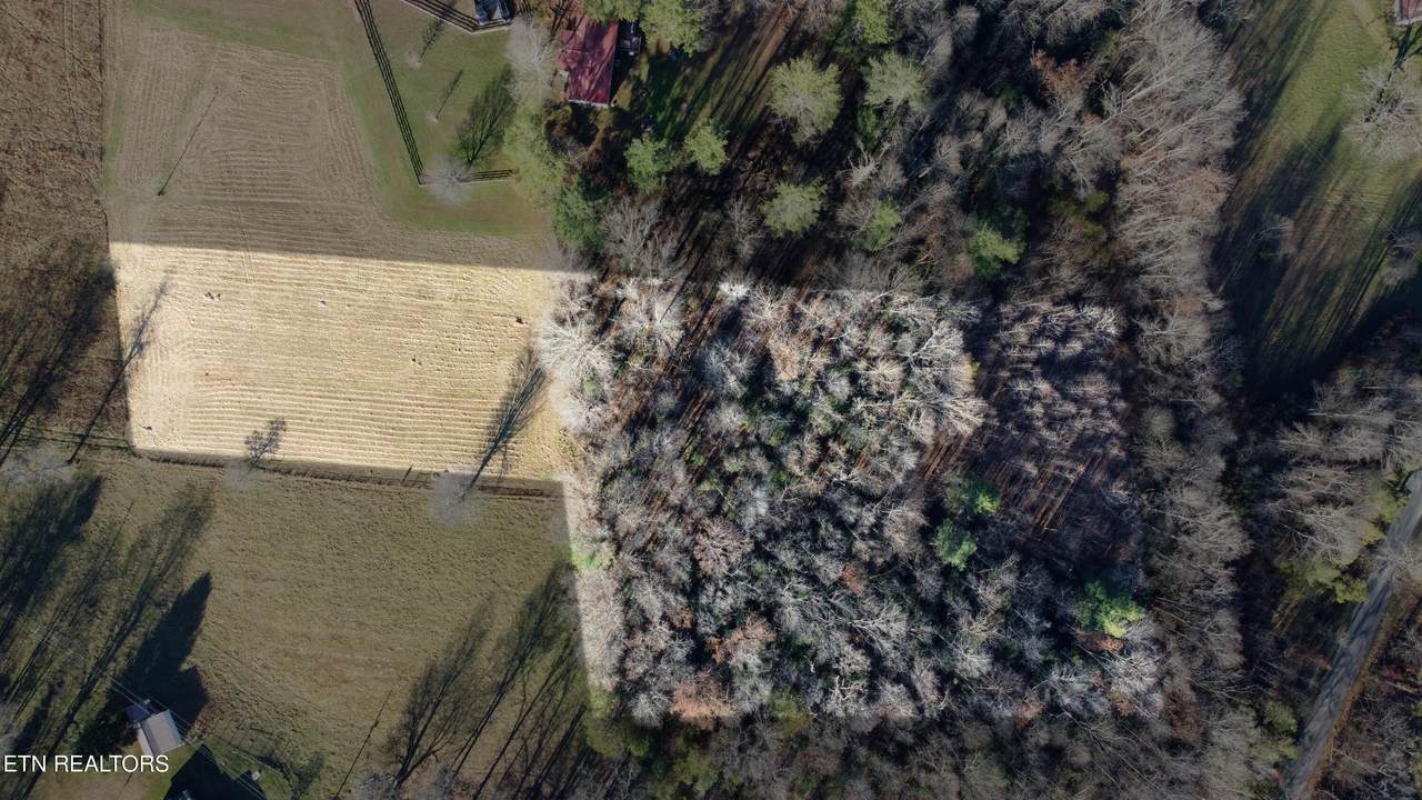 3.99 ac Bob Austin Rd - Photo 1