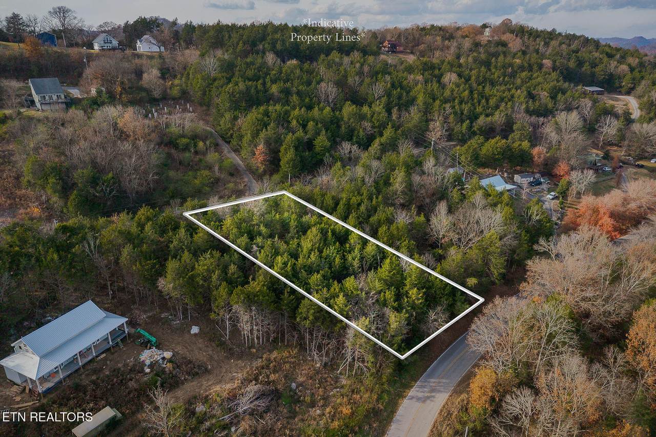 0 Martin Creek Hwy - Photo 1