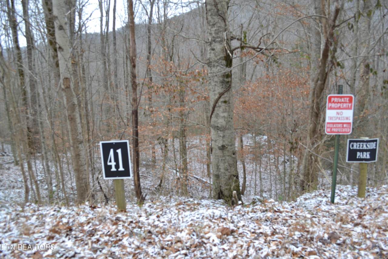 Lot 41 Apache Rd - Photo 1