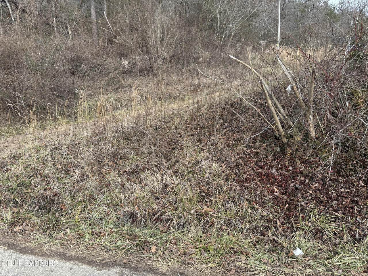 361 Newport Trail - Photo 1