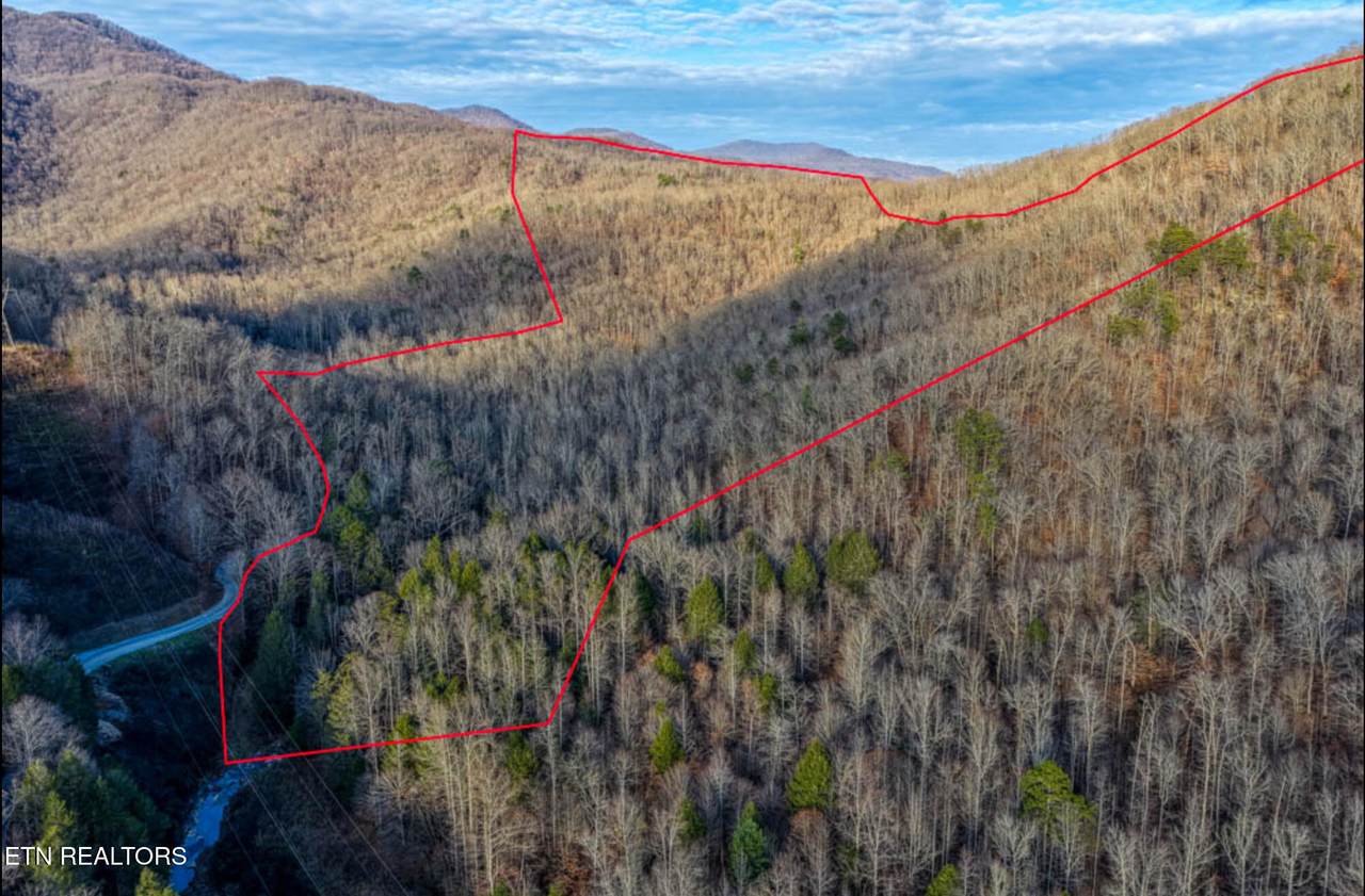 0 Hoskins Gap Rd - Photo 1