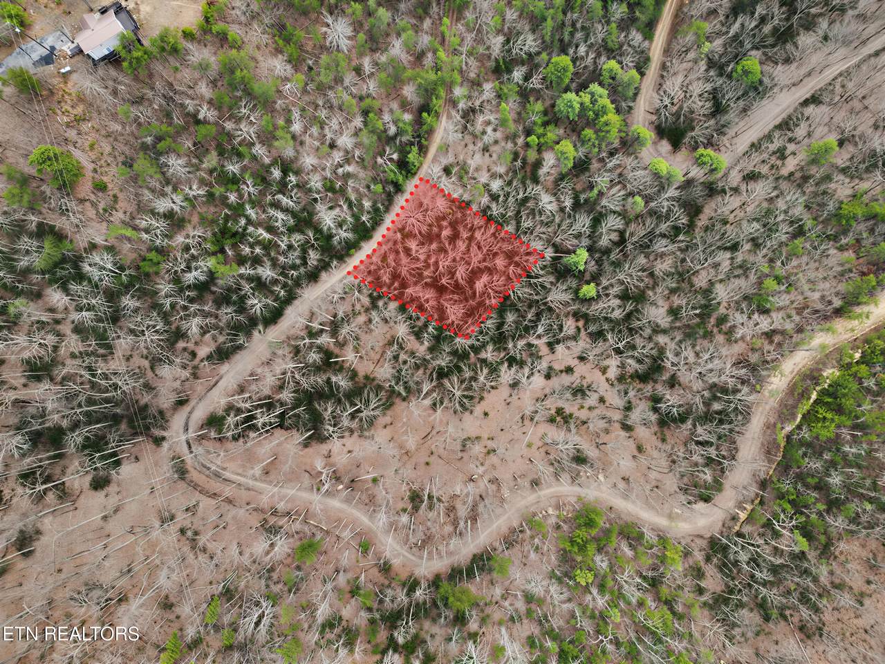 Lot 101 John Sevier Drive - Photo 1