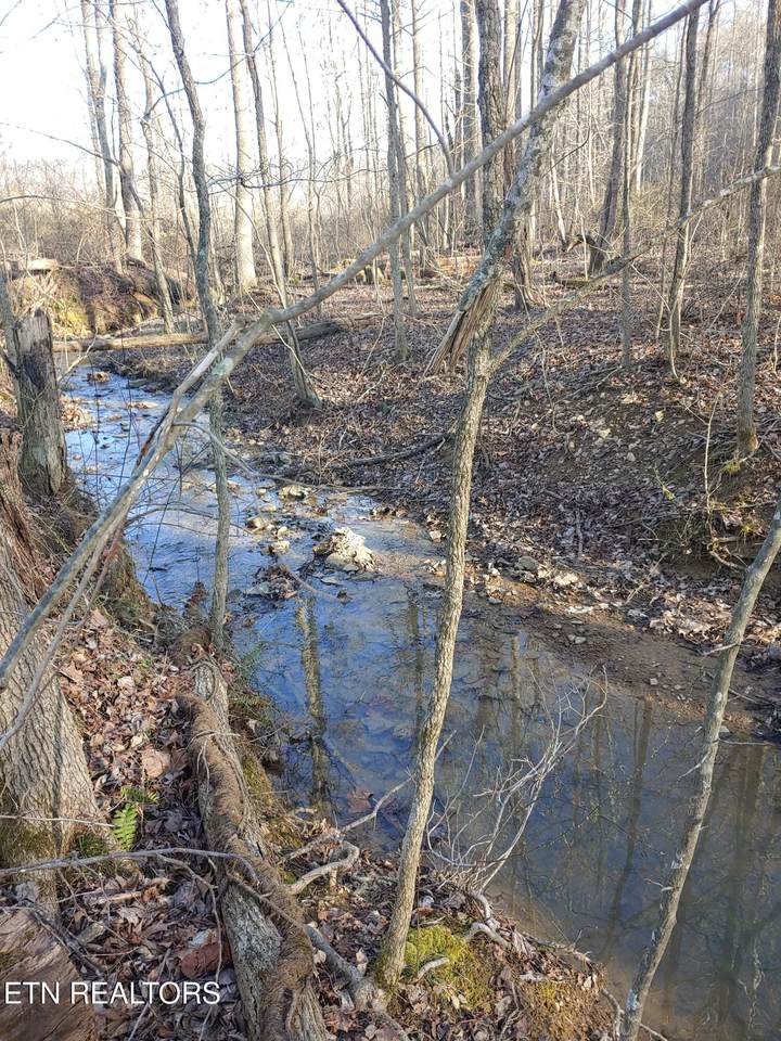  Mill Creek Rd - Photo 1