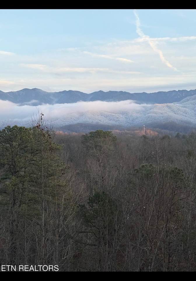 Lot 1 Vista Drive - Photo 1