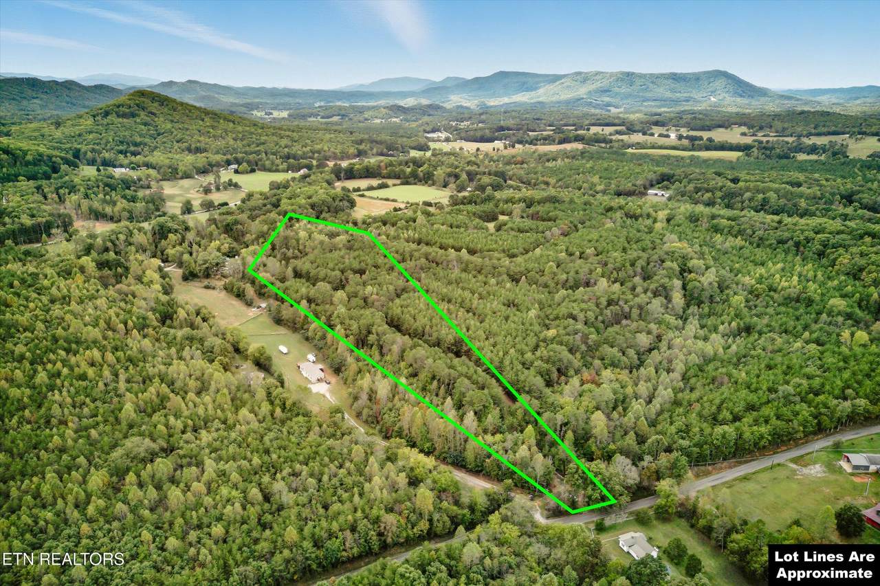 173 Akins Rd - Photo 1