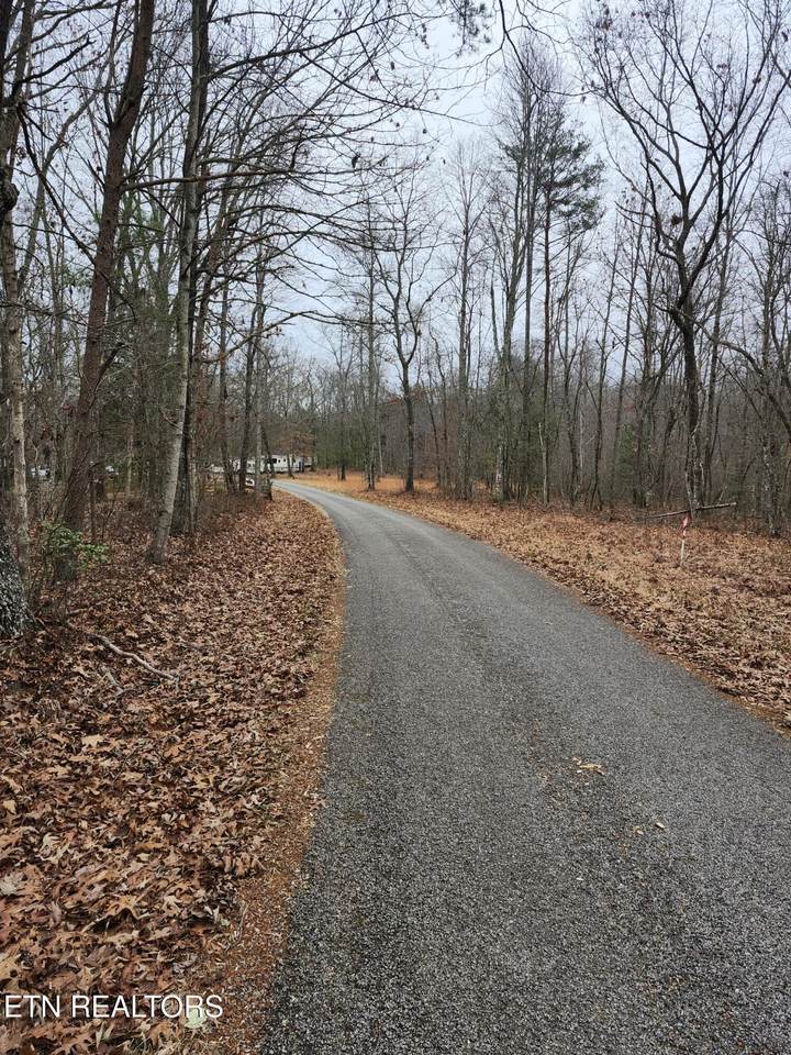  Peacock Lane - Photo 1