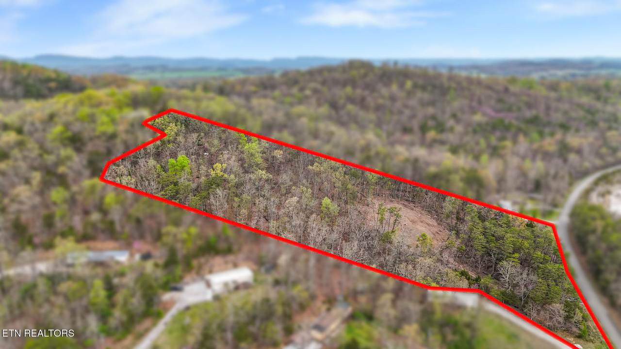 Lot 9 Reed Bull Rd - Photo 1