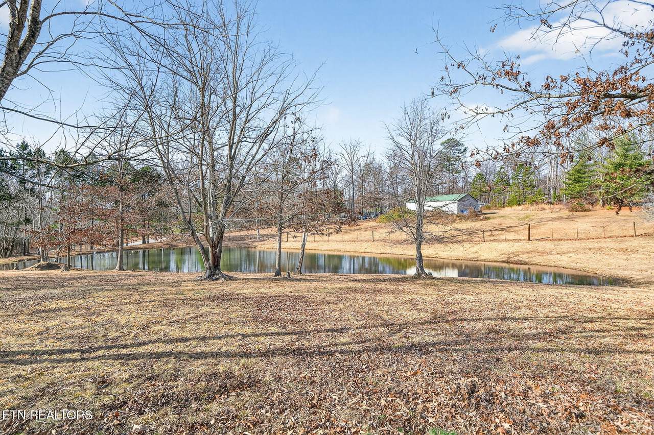 446 Arnolds Way - Photo 1