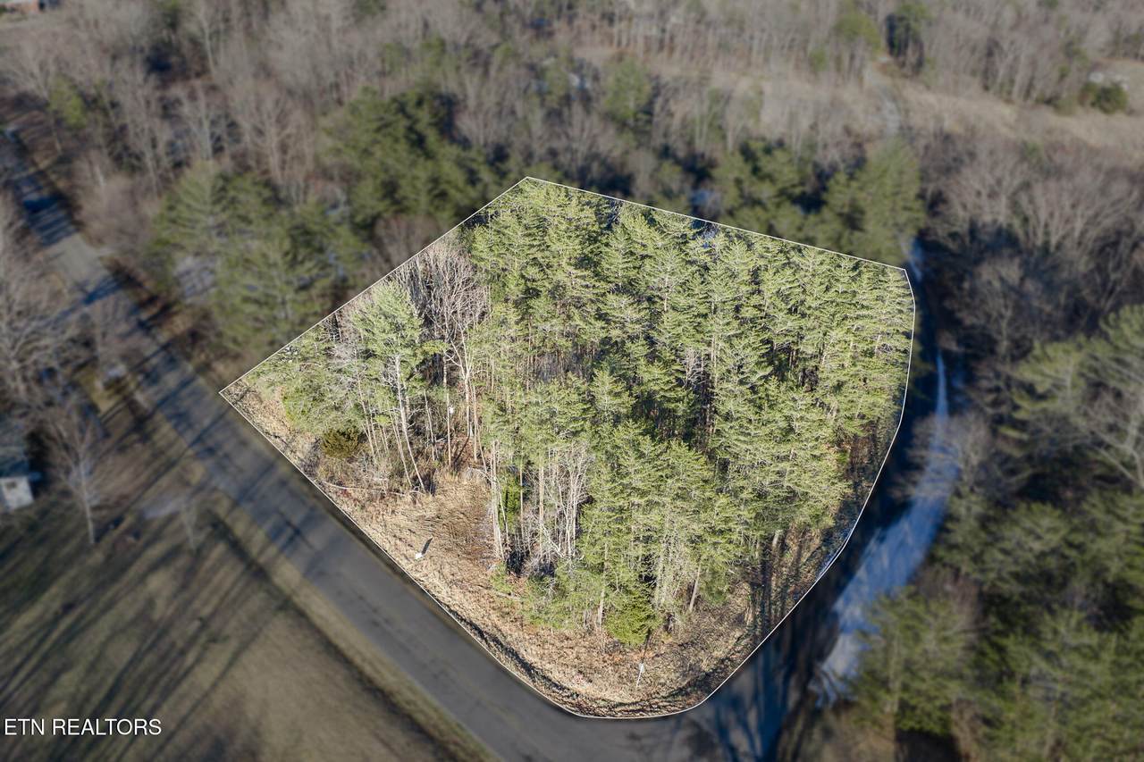  Old Highway 28 - Photo 1