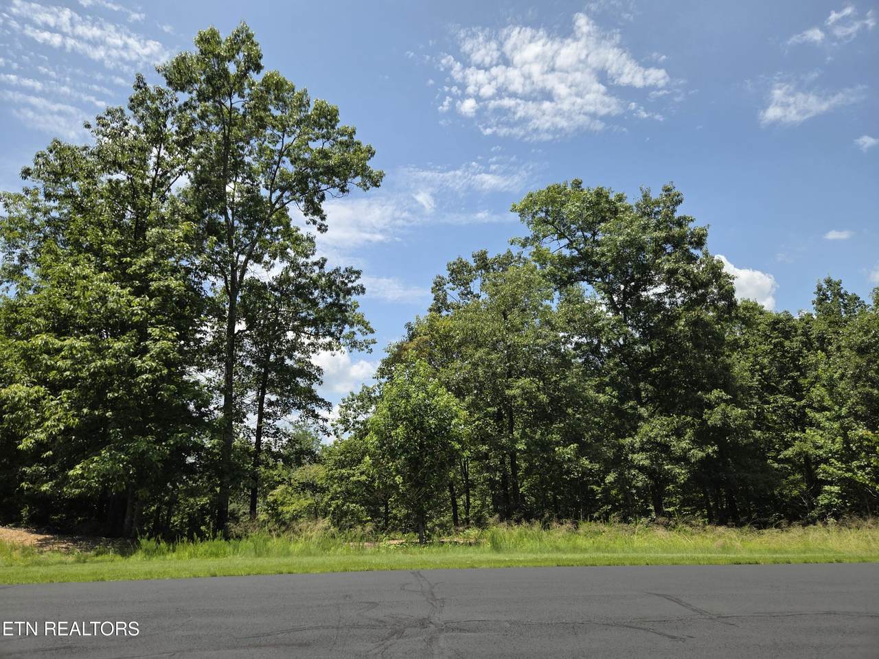 391 Thief Neck View Drive - Photo 1