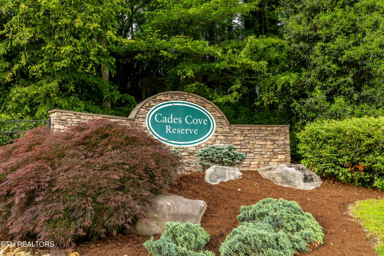 326 Shooting Star Loop - Photo 1