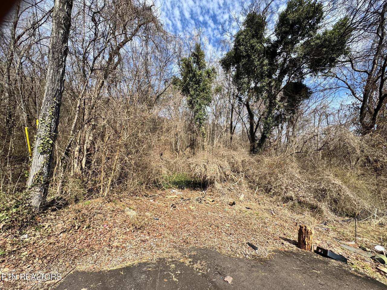 901 & 905 Texas Ave - Photo 1