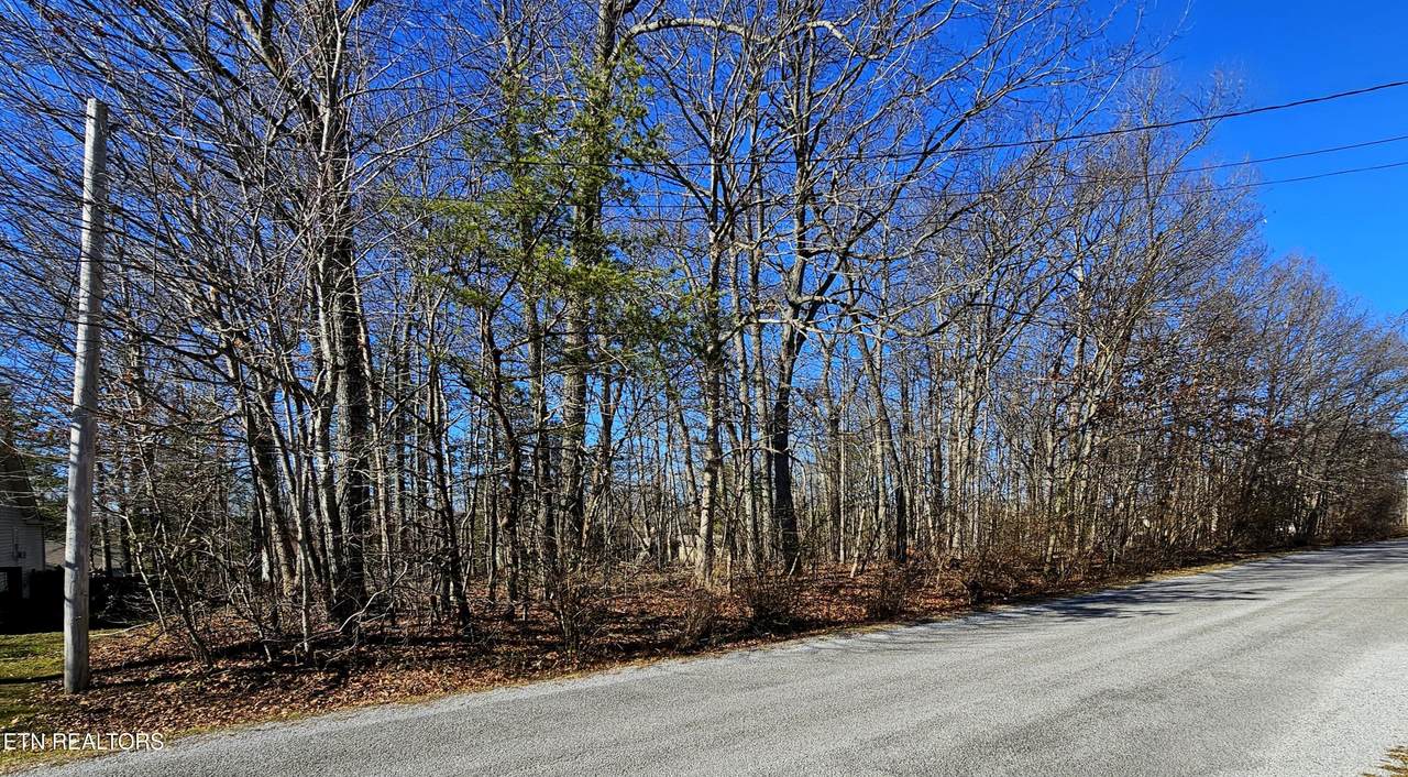 308 Kings Down Drive - Photo 1
