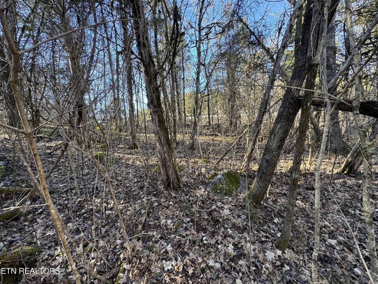  Tn-131 - Photo 1