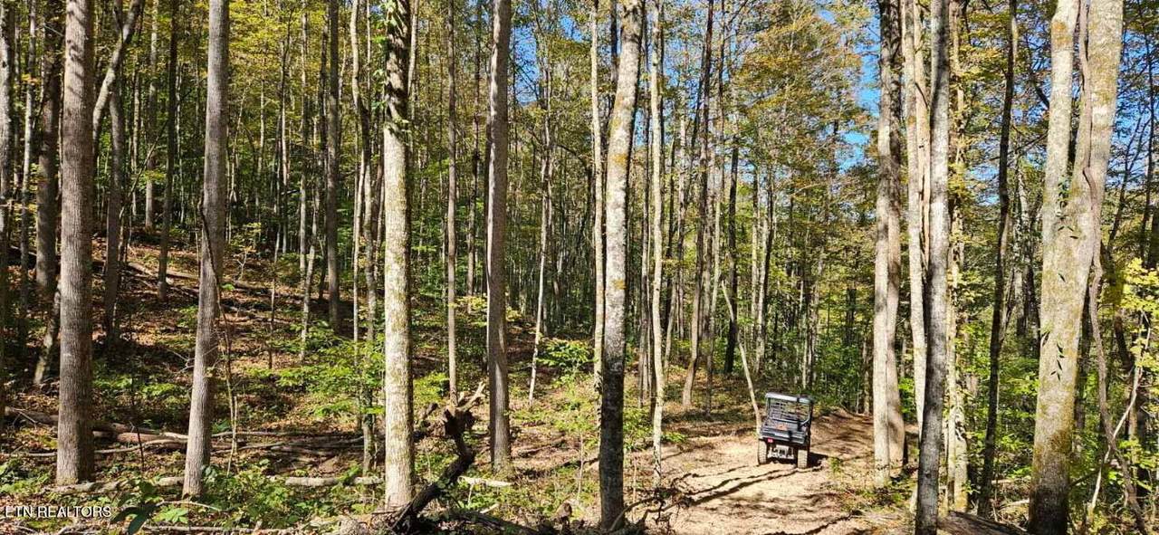  Bunch Hollow Rd - Photo 1