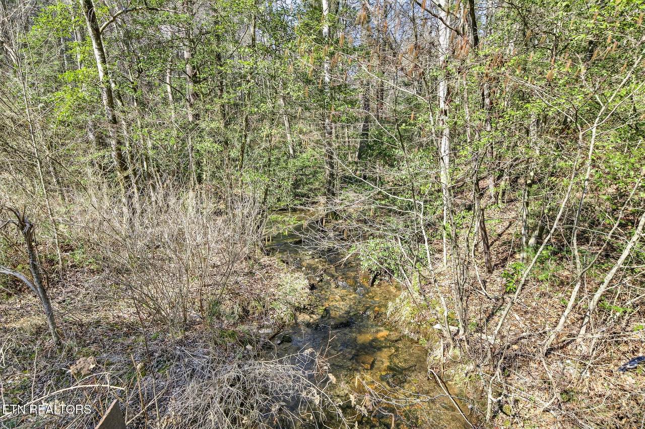 60.6 Acres Dogwood Rd - Photo 1