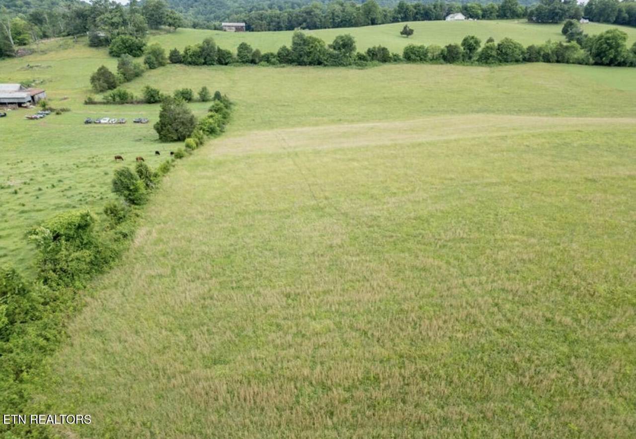 265 Thompson Rd - Photo 1