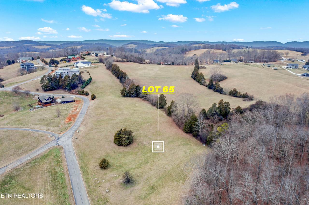 Lot 65 Cow Poke Lane - Photo 1