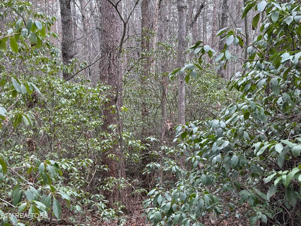 https://bt-photos.global.ssl.fastly.net/kaar/1280_boomver_2_1331784-2.jpg