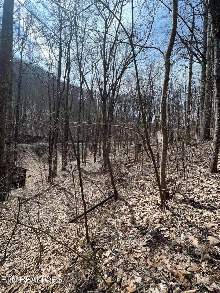  Bluff Mountain Rd - Photo 1