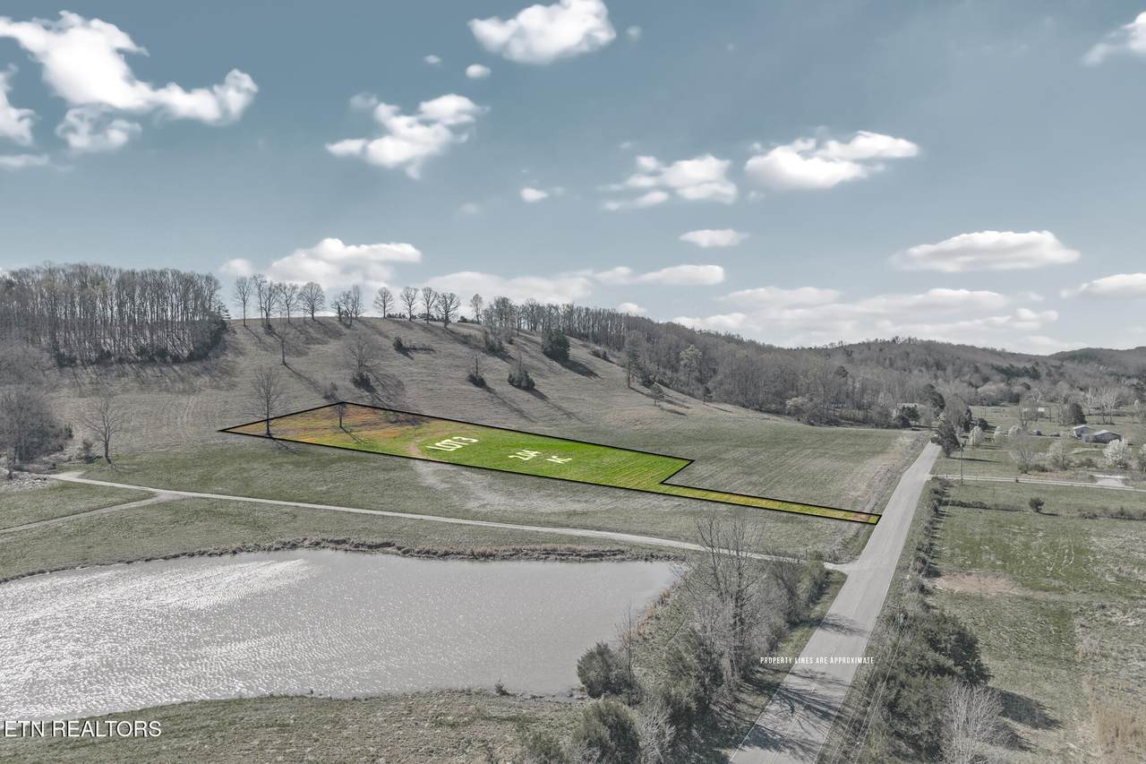 Lot 3 Nopone Valley Rd - Photo 1