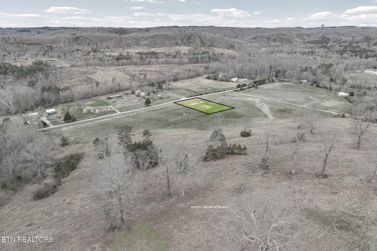 Lot 4 Nopone Valley Rd - Photo 1