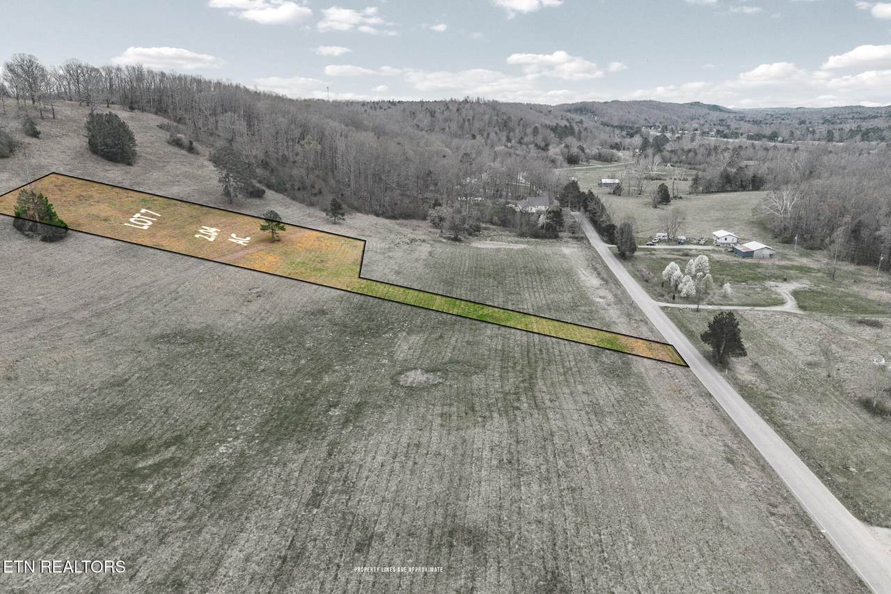 Lot 7 Nopone Valley Rd - Photo 1