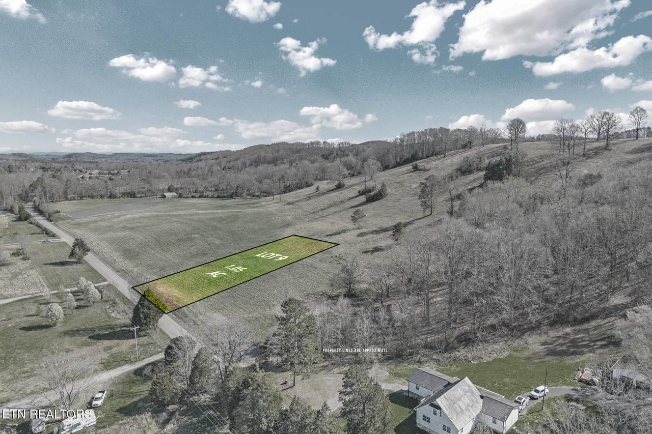 Lot 9 Nopone Valley Rd - Photo 1