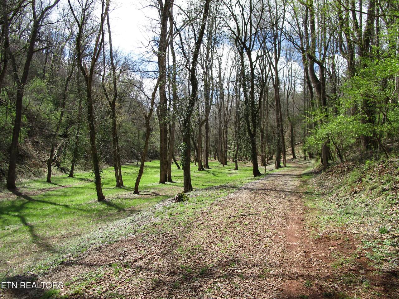 4125 Bear Hollow Loop - Photo 1