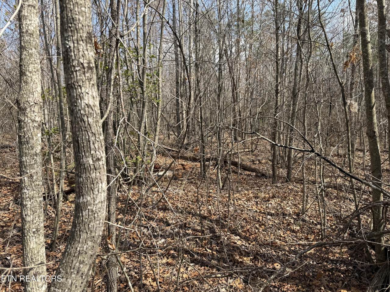  Cumberland Lakes Drive - Photo 1