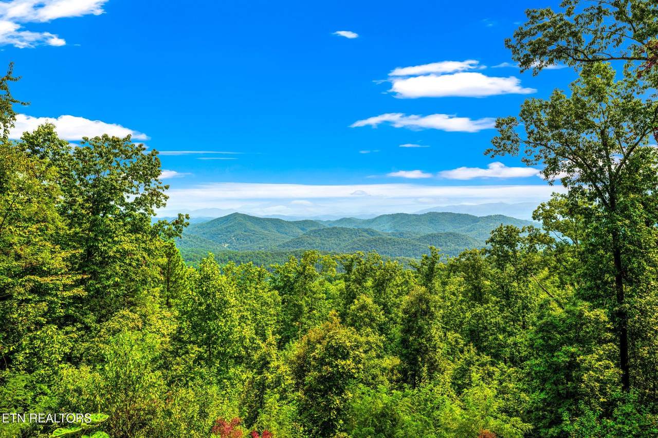 Lot Tr-1 Shell Mountain Rd - Photo 1