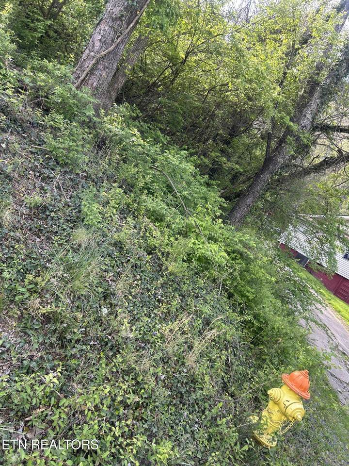 3339 Johnston St - Photo 1