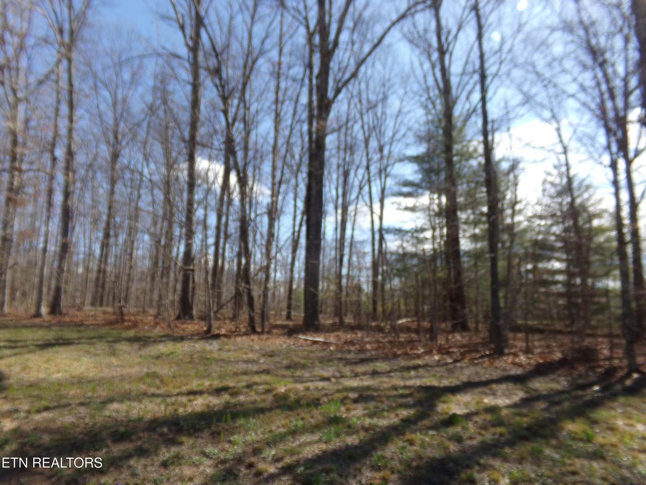 7218 Big Horn Drive - Photo 1