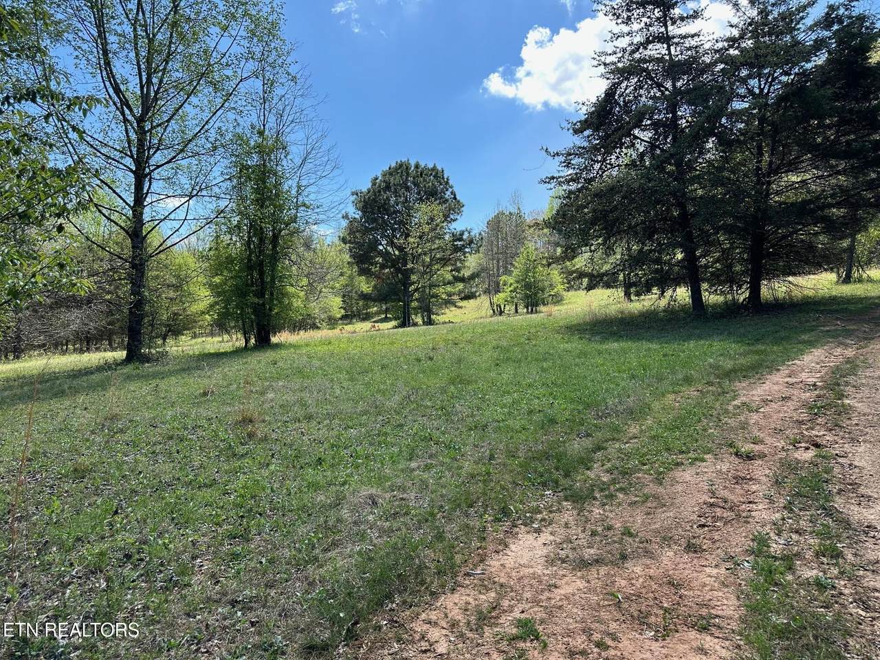 0 White Pine Rd Off Rd - Photo 1