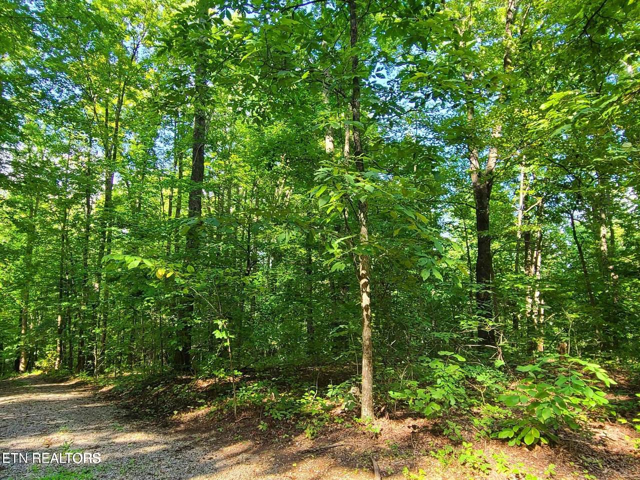 Lot 9 Walden Flats Way - Photo 1
