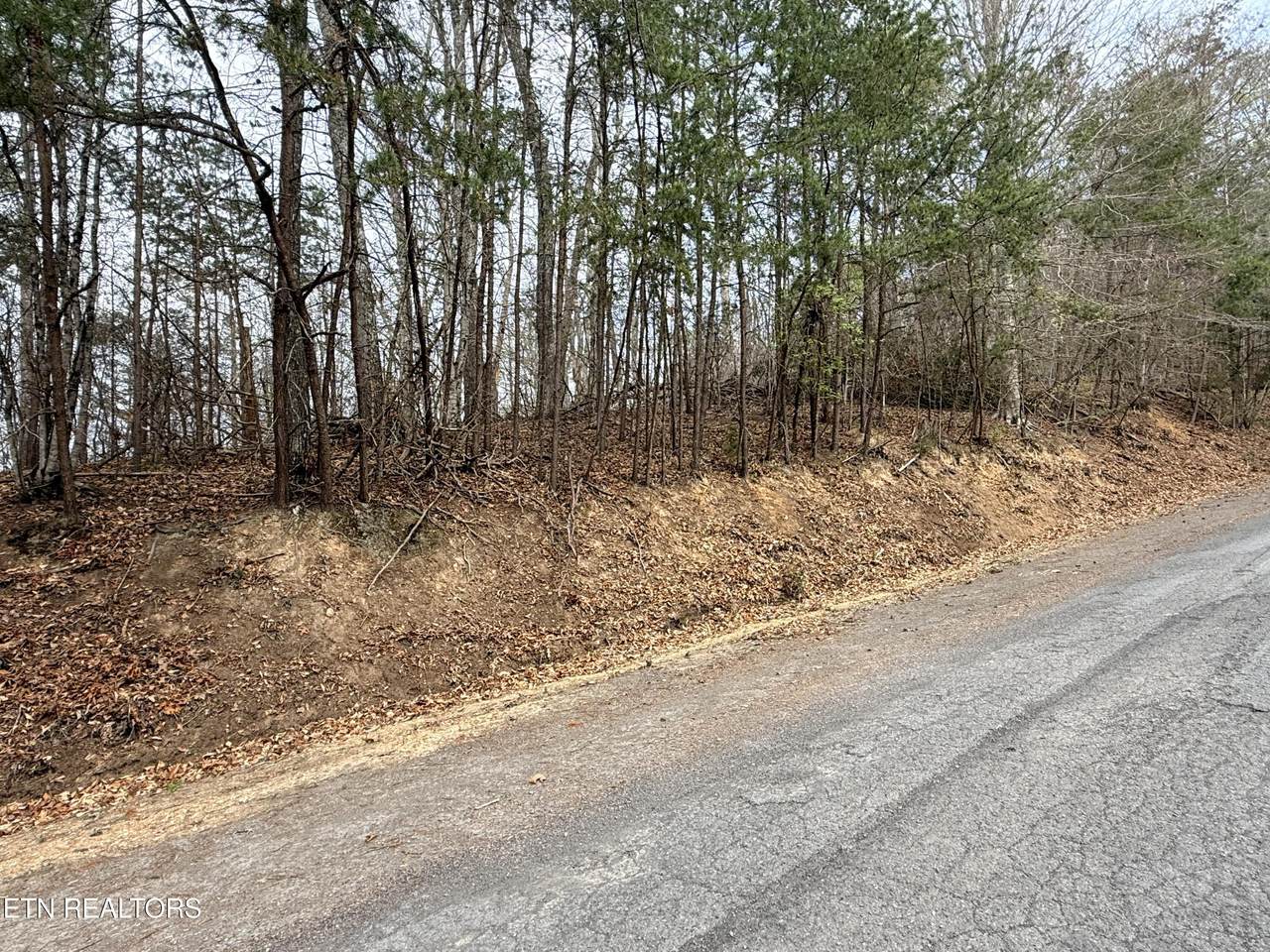 Lot 77 Grandpas Ridge - Photo 1