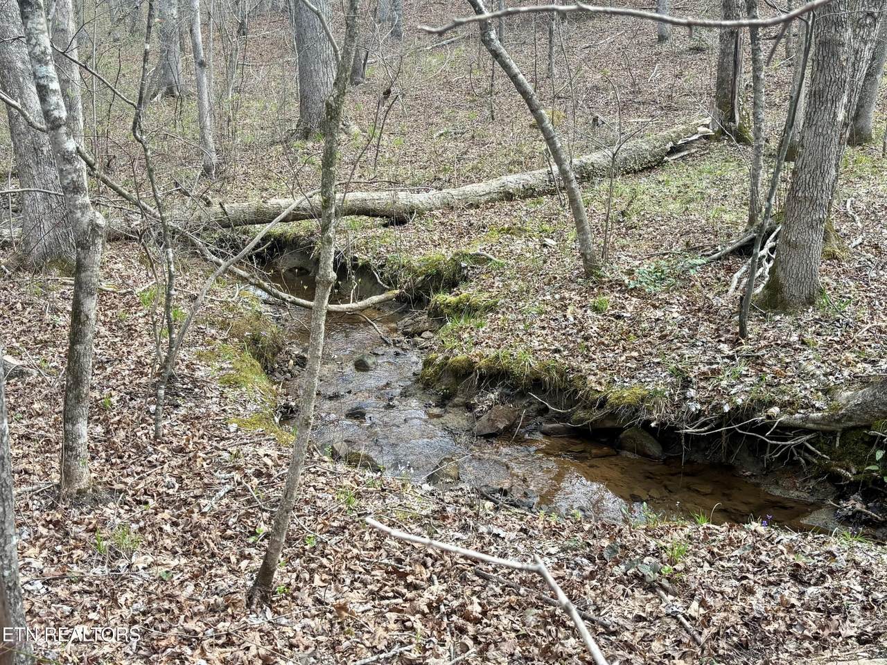 0 Crystal Point - Photo 1
