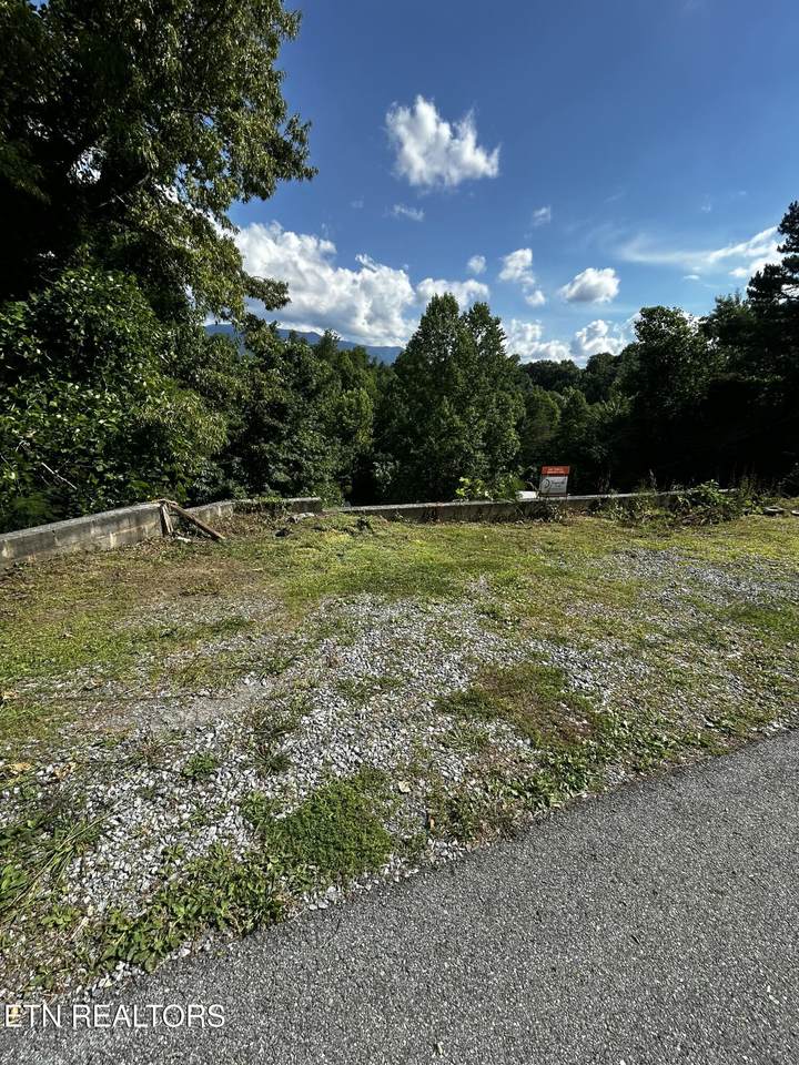 545 Johnson Lane - Photo 1