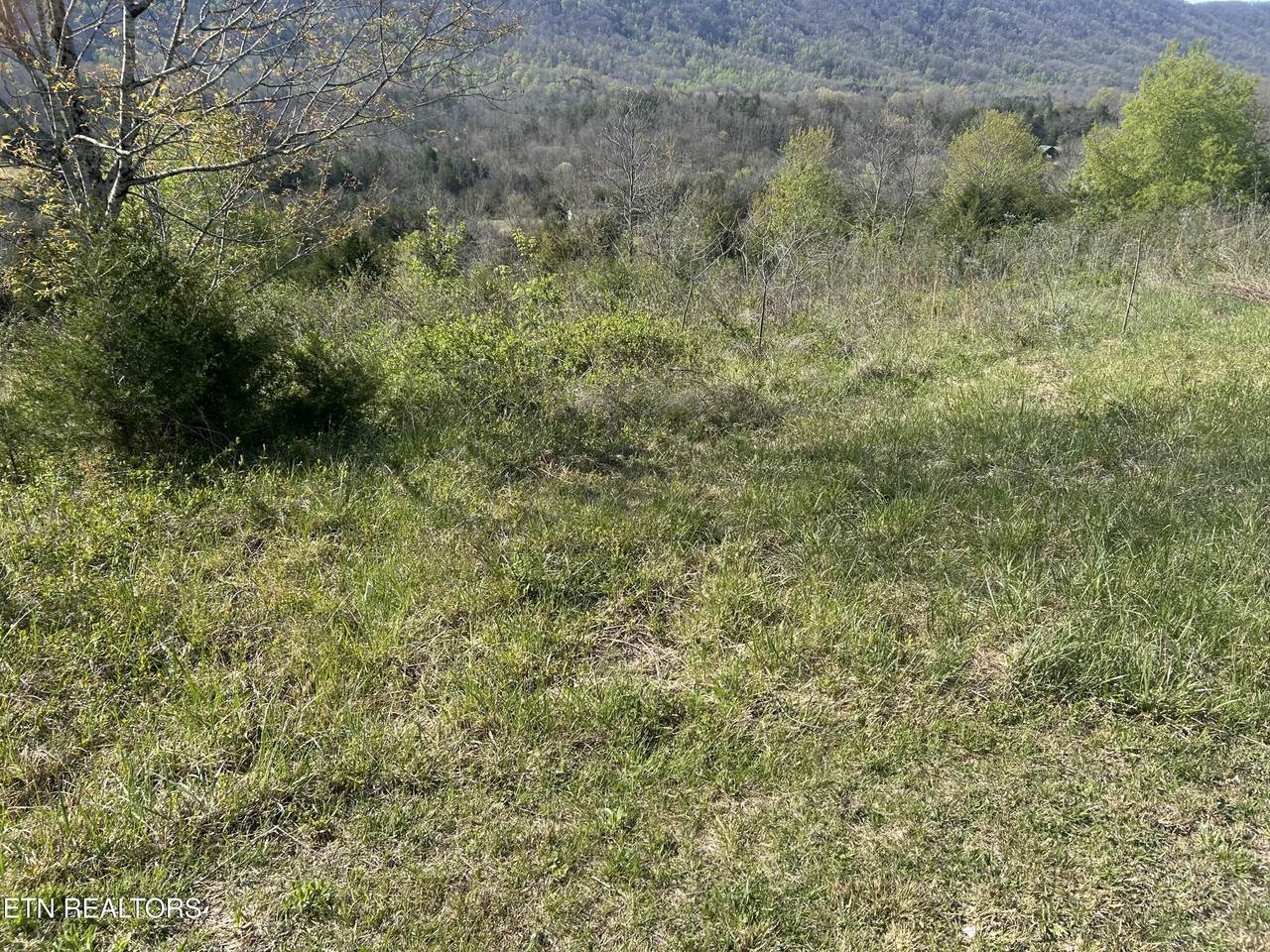 https://bt-photos.global.ssl.fastly.net/kaar/1280_boomver_2_1336212-2.jpg