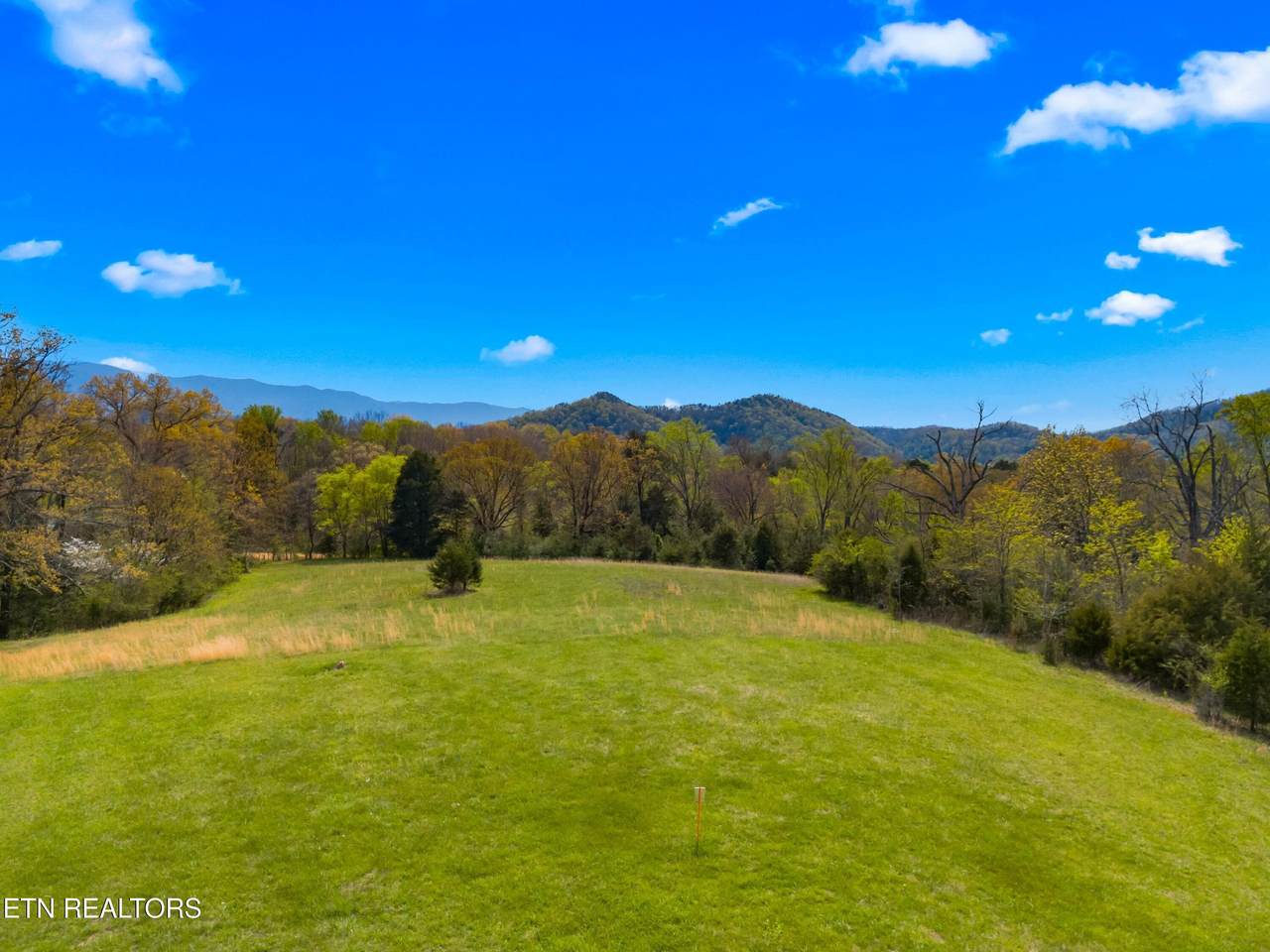  Bogard Rd - Photo 1