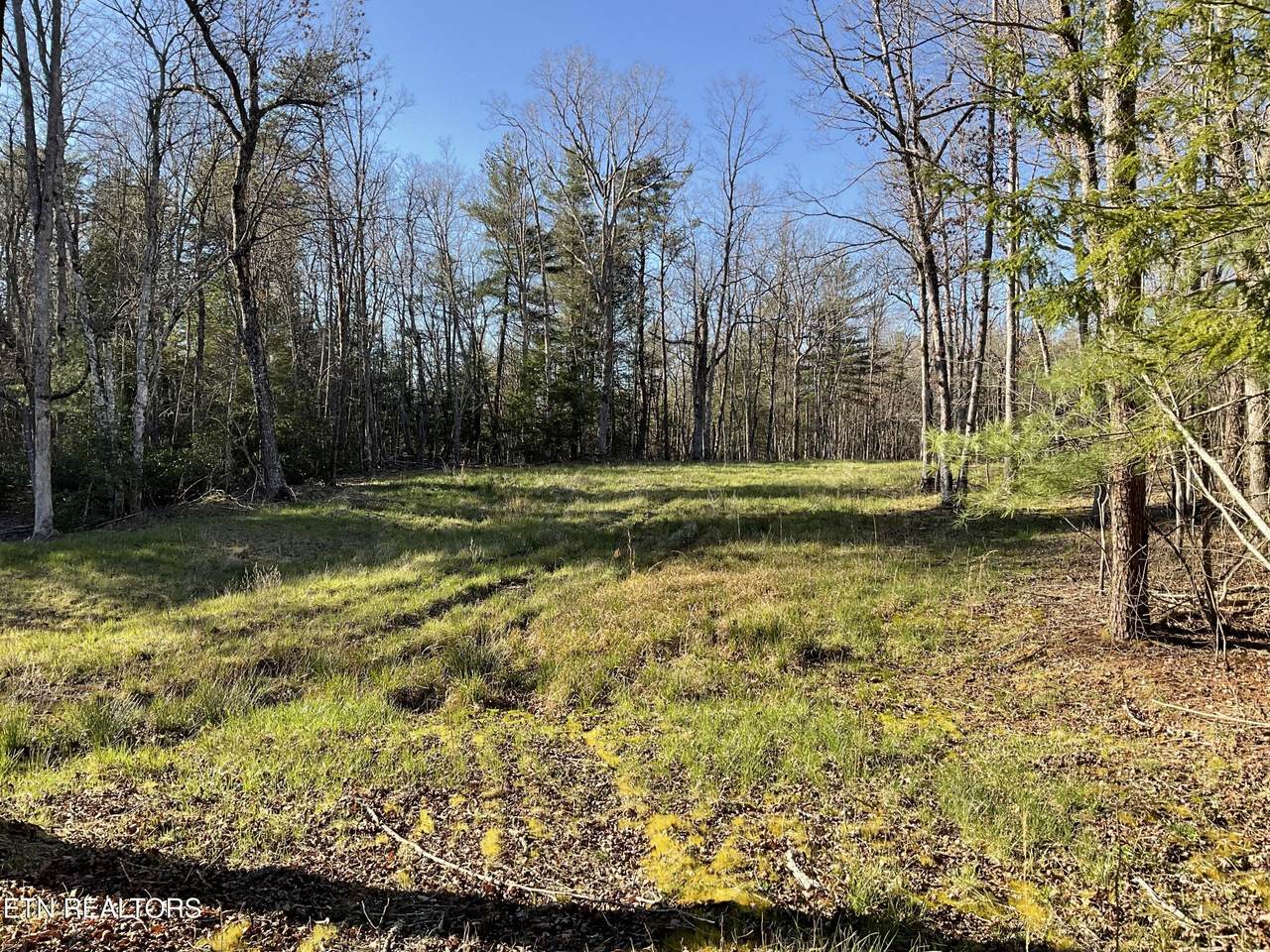 Tract 2 Pine Breeze Drive - Photo 1