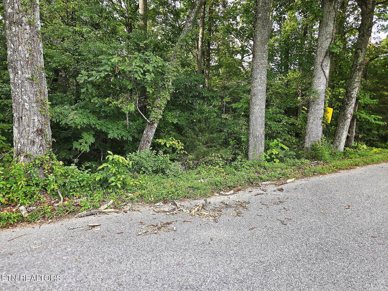  0 Victory Cross Rd - Photo 1