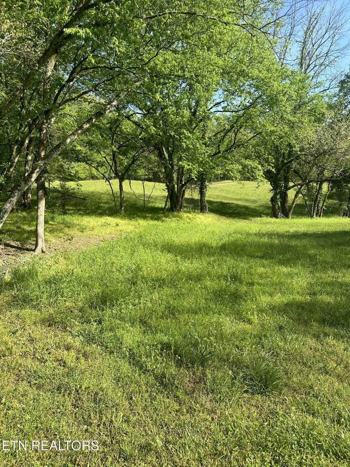 277 County Road 408 - Photo 1
